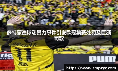 多特蒙德球迷暴力事件引发欧冠禁赛处罚及巨额罚款